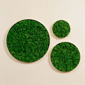 Round-framed Moss Wall Hangings (Color: Green)