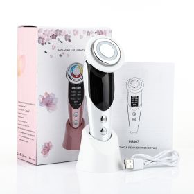 7-in-1 Facial Massager EMS Micro-current Color Light Vibration LED Beauty Purifying Introducer Skin Care Beauty Device (Option: White-USB)