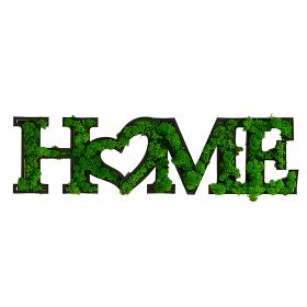 HOME Letter Art Moss Wall Hangings (Option: Color)